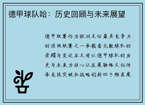 德甲球队哈：历史回顾与未来展望